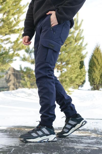 Мужские брюки Softshell на флисе в синем цвете 1589544223 фото