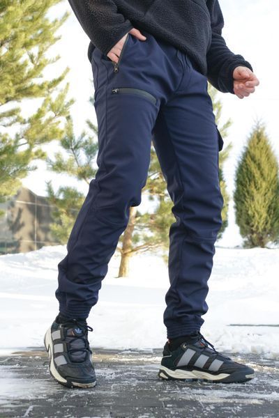 Мужские брюки Softshell на флисе в синем цвете 1589544223 фото