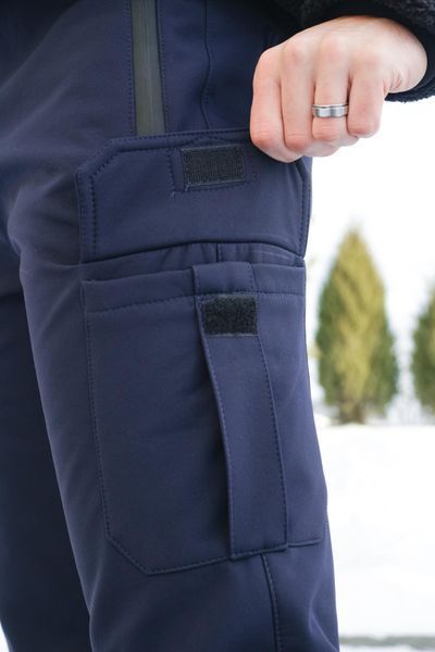 Мужские брюки Softshell на флисе в синем цвете 1589544223 фото