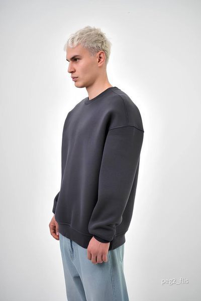 Чоловічий oversize світшот у графітовому кольорі peg2_flis фото