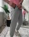 Мужские спортивные брюки в сером цвете frd4 фото 4