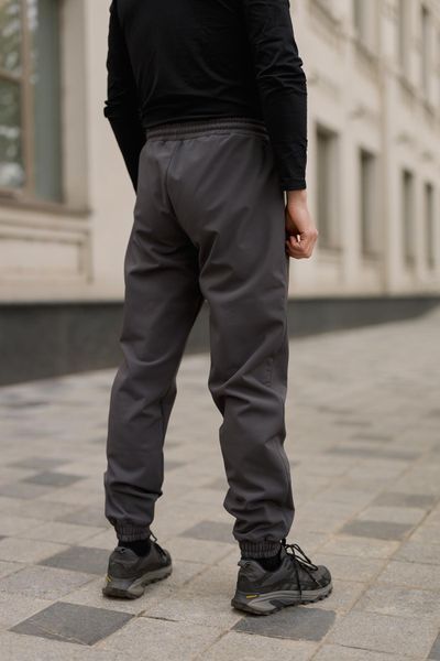 Мужские брюки Softshell на флисе в сером цвете 1905327524 фото