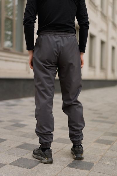 Мужские брюки Softshell на флисе в сером цвете 1905327524 фото