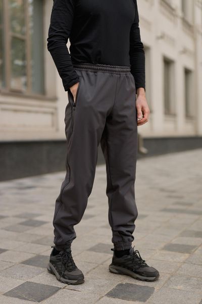 Мужские брюки Softshell на флисе в сером цвете 1905327524 фото