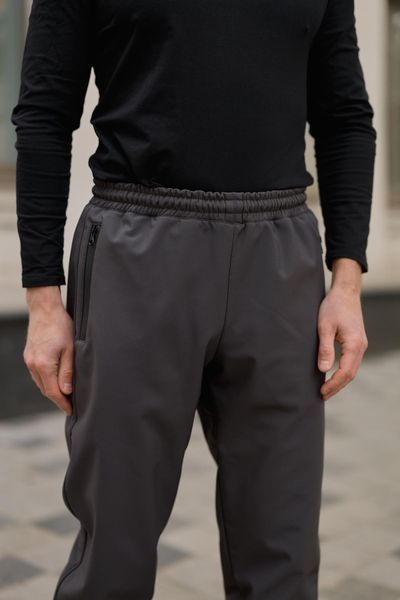 Мужские брюки Softshell на флисе в сером цвете 1905327524 фото