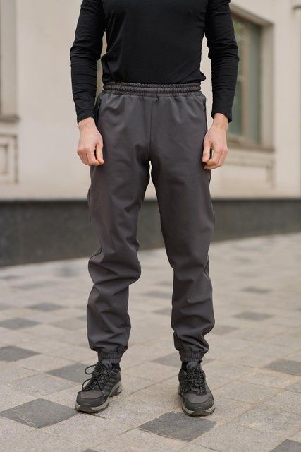 Мужские брюки Softshell на флисе в сером цвете 1905327524 фото