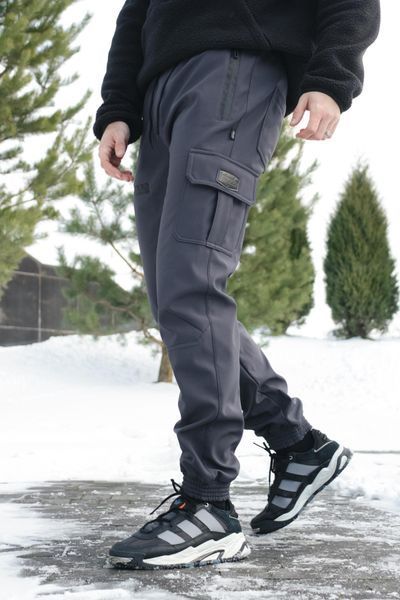 Чоловічі штани Softshell на флісі у сірому кольорі 8861401519 фото