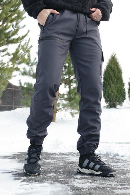 Мужские брюки Softshell на флисе в сером цвете 8861401519 фото