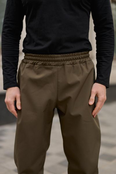 Мужские брюки Softshell на флисе в цвете хаки 1550780272 фото