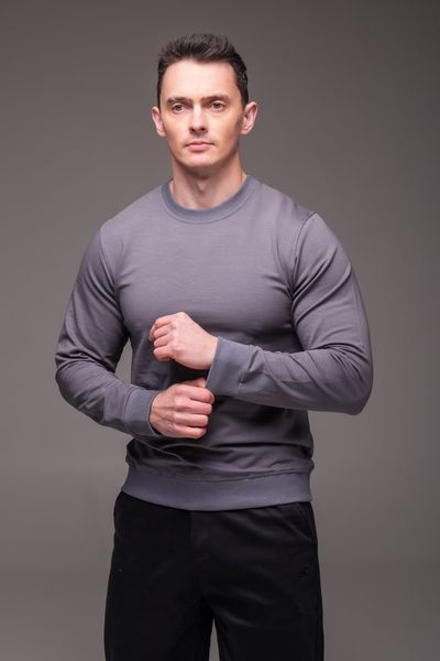 Мужской свитшот в сером цвете 2485gr-S фото