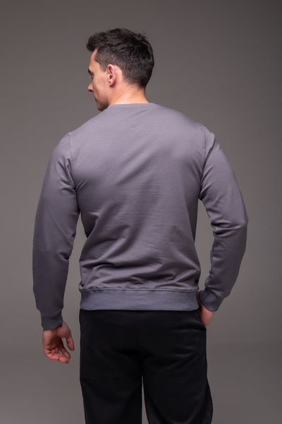 Мужской свитшот в сером цвете 2485gr-S фото