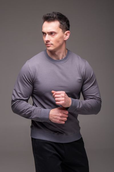 Мужской свитшот в сером цвете 2485gr-S фото