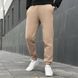 Мужские спортивные штаны на флисе в бежевом цвете pnjo1086kml фото 1