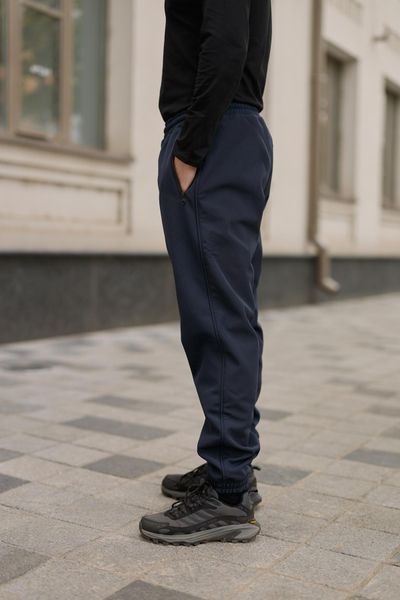 Мужские брюки Softshell на флисе в синем цвете 1750383575 фото