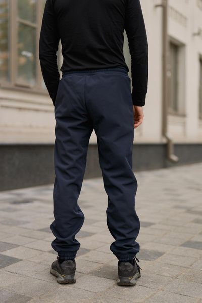 Мужские брюки Softshell на флисе в синем цвете 1750383575 фото
