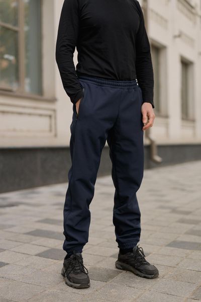 Мужские брюки Softshell на флисе в синем цвете 1750383575 фото