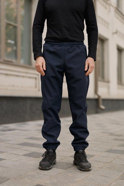 Мужские брюки Softshell на флисе в синем цвете 1750383575 фото