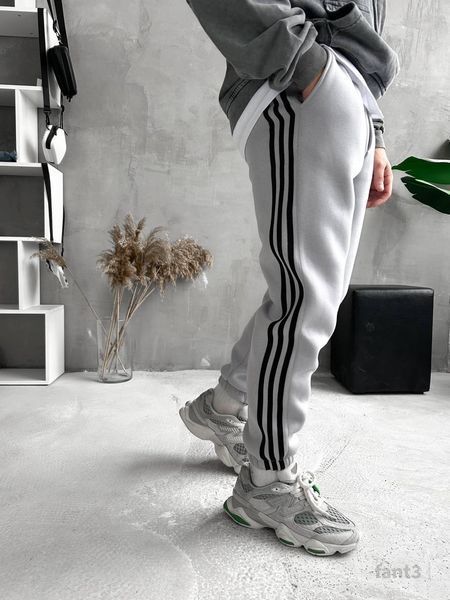 Мужские oversize утепленные брюки в светло-сером цвете fant3 фото