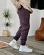 Чоловічі флісові спортивні штани у коричневому кольорі n00903 фото 3