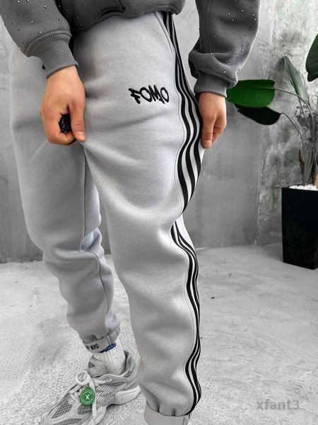 Мужские утепленные спортивные брюки в сером цвете xfant3 фото